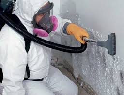 Mold Remediation for Vacation Homes